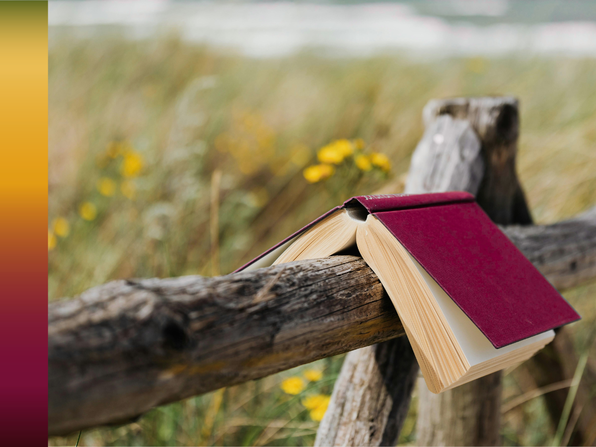 Why every summer feels like writing wipeout for ADHD writers